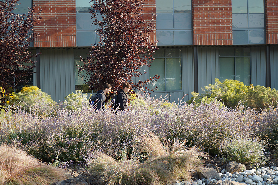 Students walking on campus