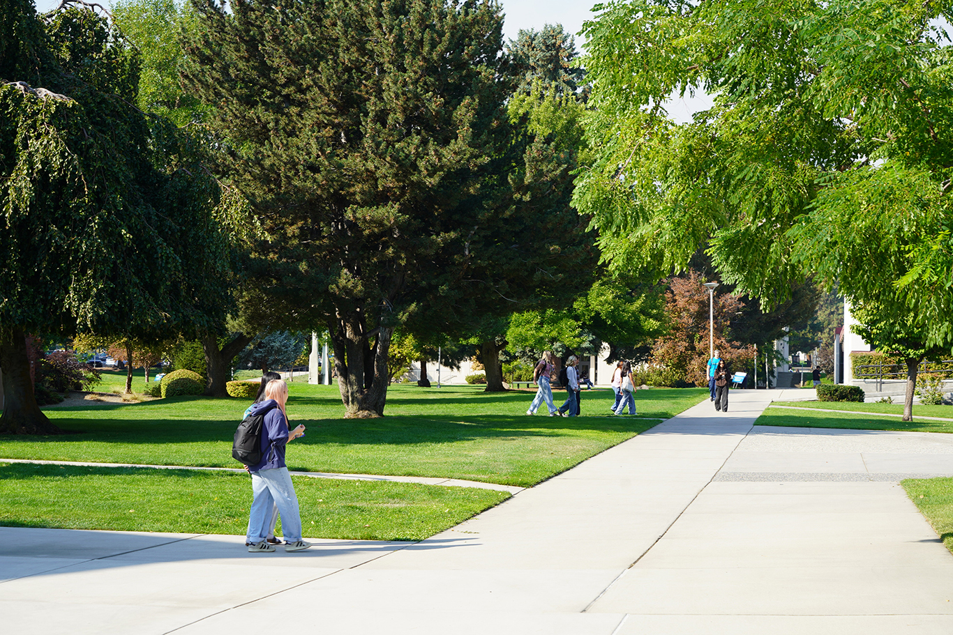 Students walking on campus