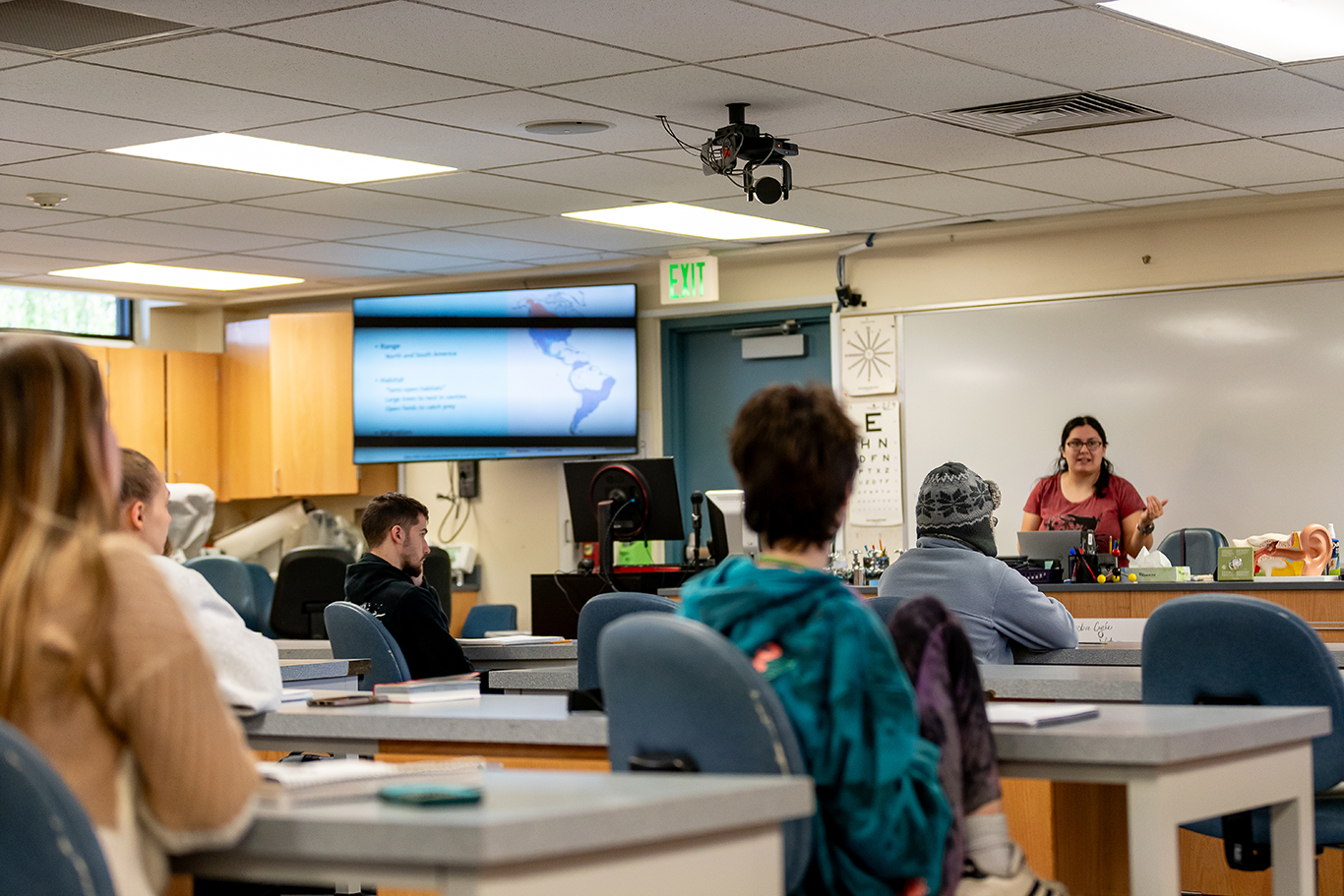 Photo of professor teaching students