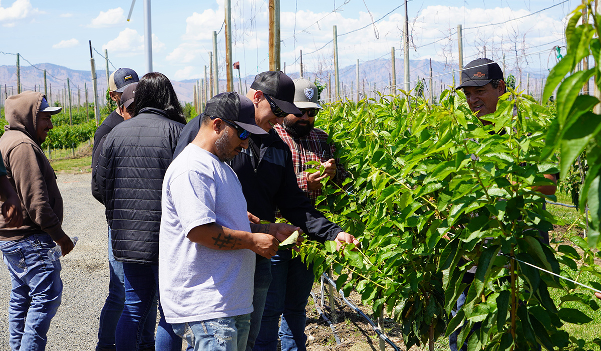 WVC agriculture students study plant crops.