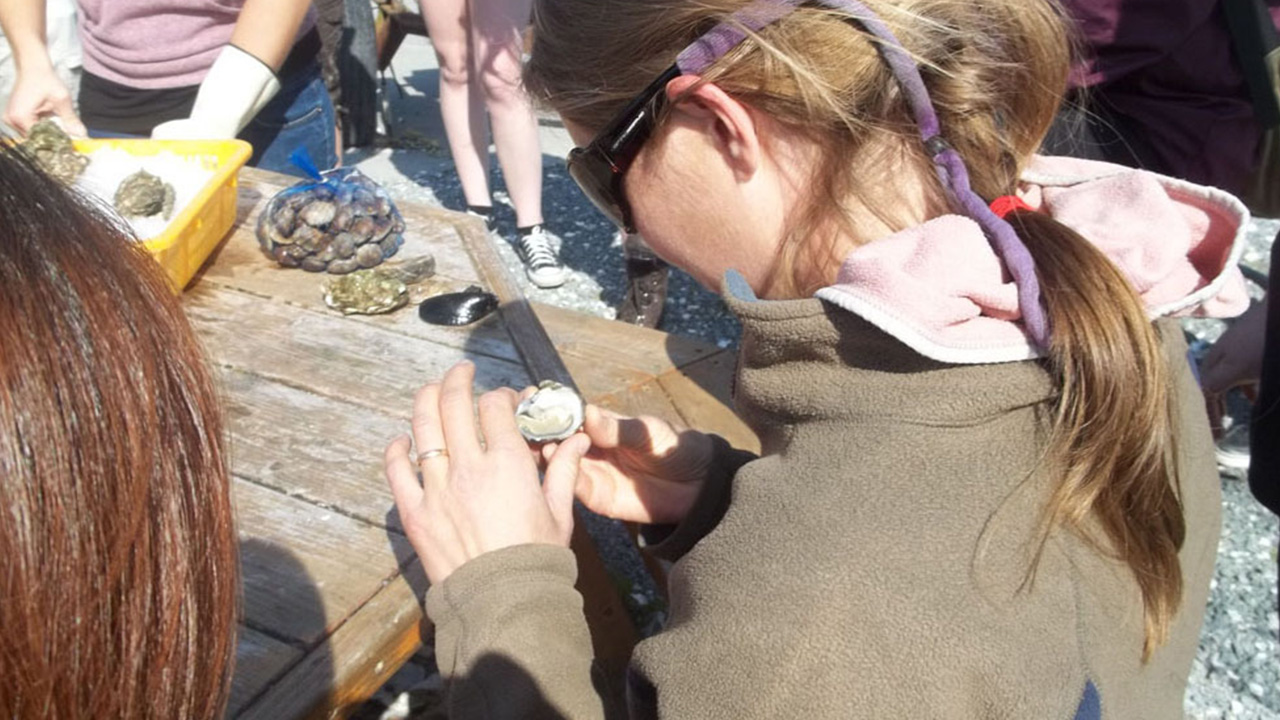 A student sits at a table and studies a seashell.