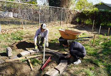 Professors Saxon Spillman and Branwen Schaub build raised beds in the community garden.